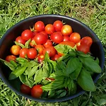 Il Giardino Di Tolu Siracusa