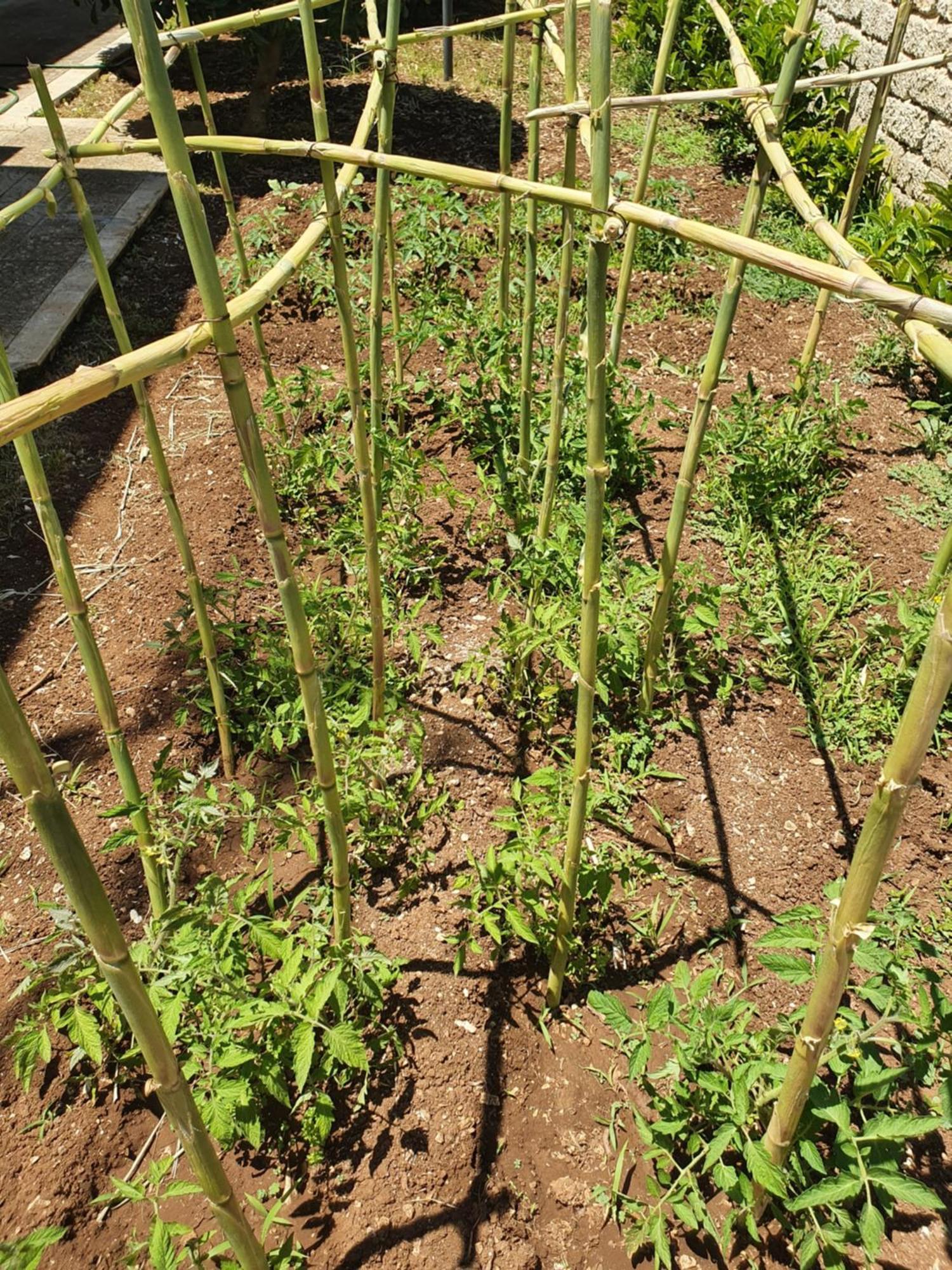 Сasa de vacaciones Il Giardino Di Tolu Siracusa Syracuse